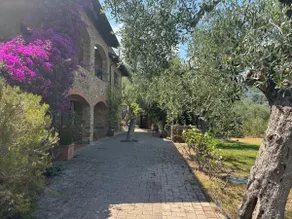 Alex's oasis - Image 2