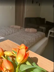 Mozaik Duo-A Apartment - Image 3