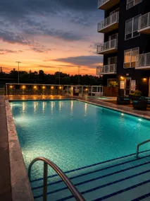 Luxury 2BR Apartment · Steps to Mayo Clinic | B-3 - Image 5