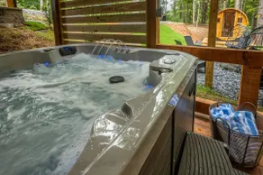 Sauna, Cold Plunge, Hot Tub, Theater- Ellie Blue - Image 4