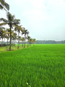 Thanal Home B 1 BHK Calm & Cozy Countryside Home - Image 5