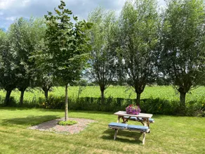 De Weidse Wetering - peace and space in nature - Image 2