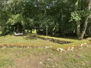 Louise's House - Image 2