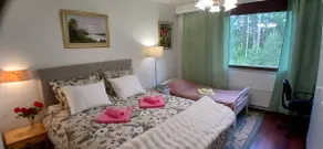 Saimaa Parkview Luxury Suite - Image 3