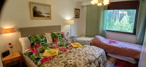 Saimaa Parkview Luxury Suite - Image 2