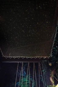 The Secret Jungle · Sensory Waterfall · Movie Theater - Image 5