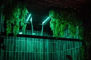 The Secret Jungle · Sensory Waterfall · Movie Theater - Image 4