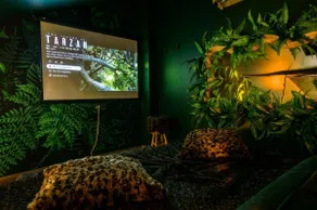 The Secret Jungle · Sensory Waterfall · Movie Theater - Image 3