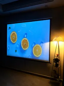 Lumi Haus | 1BHK | 100” Home Theatre | Rapid Metro - Image 3