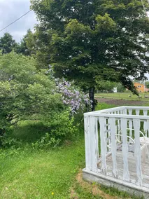 Crisby’s Vacation Home - Image 5