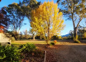Cosy holiday unit 30 mins from Mt Buffalo - Image 5