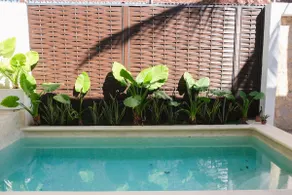 Accommodation in Mazatlán - Image 3