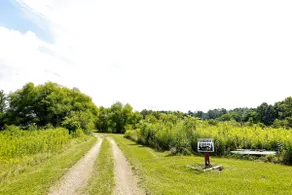Hook & Hideaway - Image 2