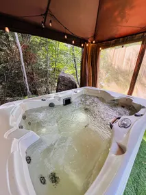 Private Alpine Nest Retreat /HotTub/SAUNA/AC/WiFi - Image 3