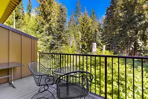 Dog-friendly, upscale condo with shared pool & hot - Image 3
