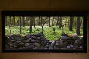 Redhill Retreat - Rannoch - Image 5