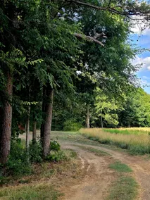 Quiet Stay in the Country - Image 2