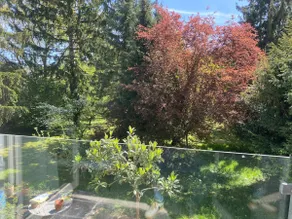 Dream family holiday home Stradella 1500 sqm garden - Image 3