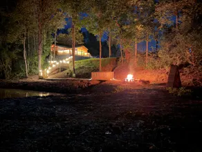 Horse Farm Stay Cabin: See the Foals, Take a Tour! - Image 3