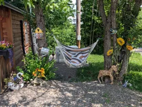 Horse Farm Stay Cabin: See the Foals, Take a Tour! - Image 5