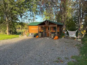 Horse Farm Stay Cabin: See the Foals, Take a Tour! - Image 2