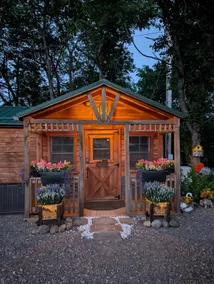 Horse Farm Stay Cabin: See the Foals, Take a Tour! - Image 5