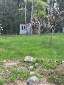 Small cozy cabin sanctuary on herbal homestead - Image 3