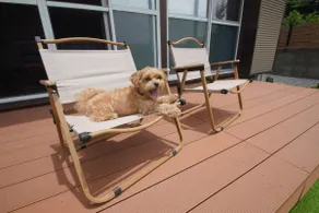 [15-minute drive to Mother Farm] BBQ and pets allowed | A private rental accommodation convenient for sea fishing - Image 3