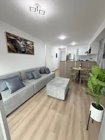 Centric, modern, new 2 bedroom, 4 beds, 2 bath, ocean view - Image 5