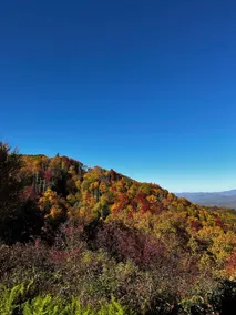 Cherokee NC High elevation incomparable views - Image 4