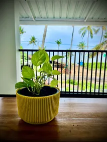 Pantai Retreat | Muziris Beach villa - Image 2