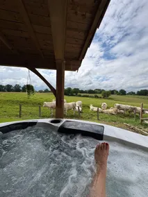 Round 6-person hot tub in large house - Image 2