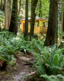 Private Chuckanut Mountain Forest Retreat - Image 3
