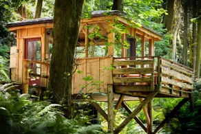 Private Chuckanut Mountain Forest Retreat - Image 2