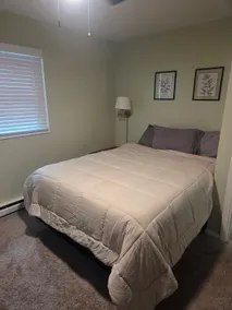 11th Street House - Sleeps 4 w/ Hot Tub - Ruoff - Image 4