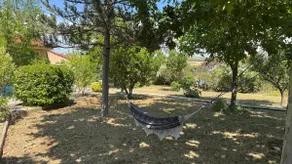 Rural Relaxation - Image 4