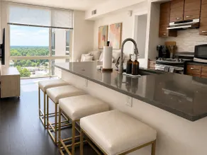 Luxury King Suite | Workspace | Tysons & DC Metro - Image 4