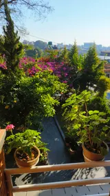 Orange apartment - with garden - Image 2