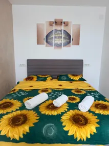 Relaxation oasis near Timișoara - Image 4
