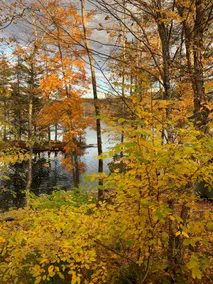 Idle Pine Lakefront Retreat | Bogart’s VT Getaway - Image 2