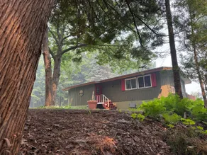 Tree of Life House on Lake Superior - Image 3