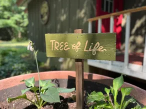 Tree of Life House on Lake Superior - Image 5