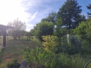 A green break - Image 4