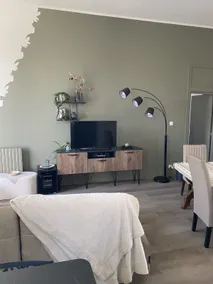 Apartment in a mansion - Image 4
