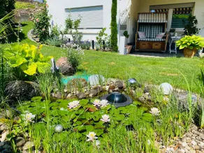 An oasis for slowing down - Image 5