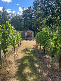 The Roost at Roots Vineyard - Image 5