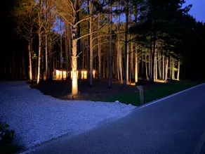 The Peaceful Pines Retreat - Image 3