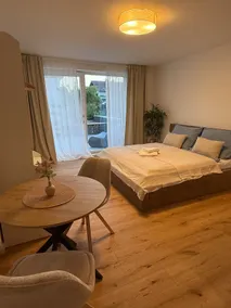 New studio with large terrace - Image 2