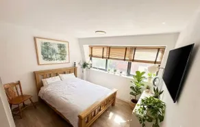 Trinity College Area Apartment - Image 4
