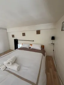 Le Cocon du Centre · duplex, close to Puy du Fou - Image 4
